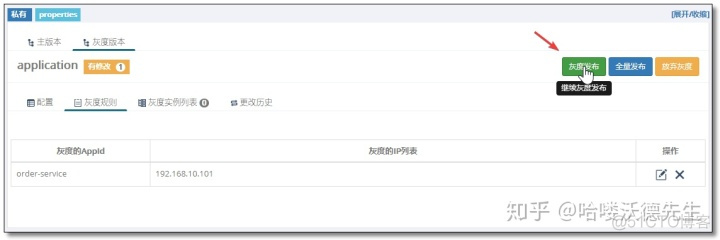 springcloud 整合easyes_apollo 配置中心_12