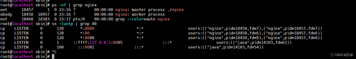 mac nginx 资源文件路径_Nginx_09