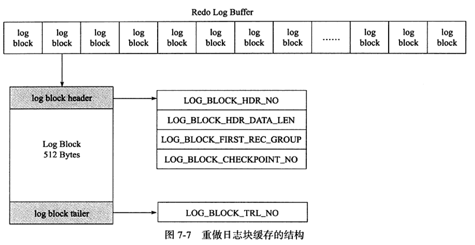 mysql undo可以删掉吗_重做