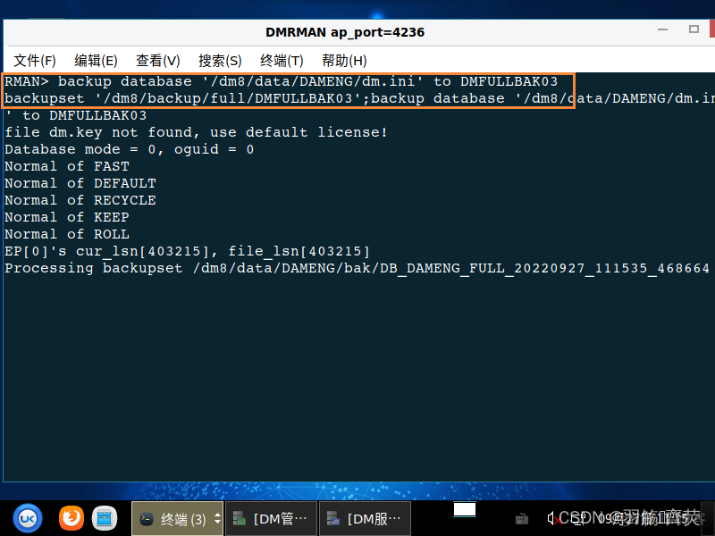 arm版达梦8docker镜像_linux_50