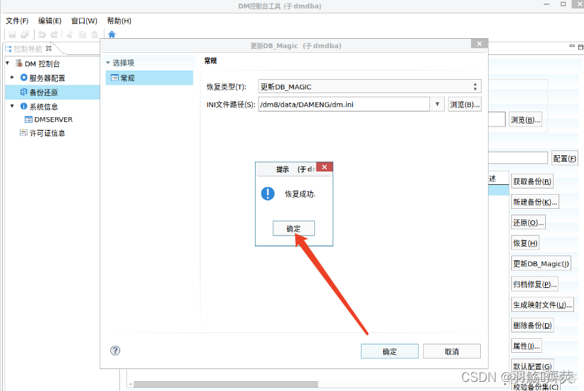 arm版达梦8docker镜像_arm版达梦8docker镜像_65