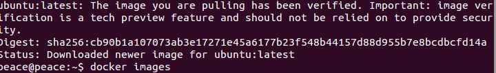 ubuntu docker如何使用原来的_shell_05