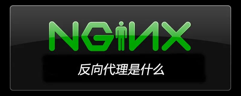 nginx 手册 PDF_yum 代理_03