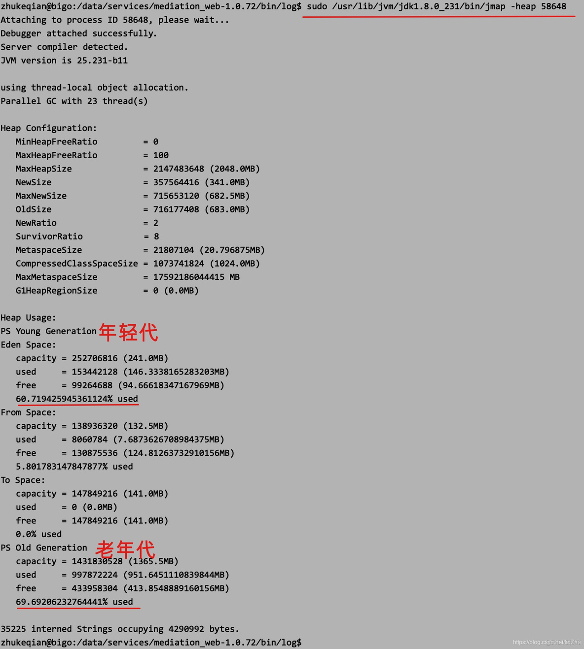 java如何查看堆里面的大对象 服务器命令_JVM_04