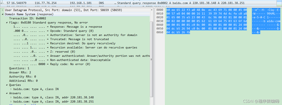 wireshark 查找 info信息_DNS_09