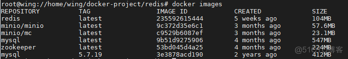 redis双重检测锁_docker_03