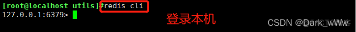 redisconfig配置类不生效_nosql_14