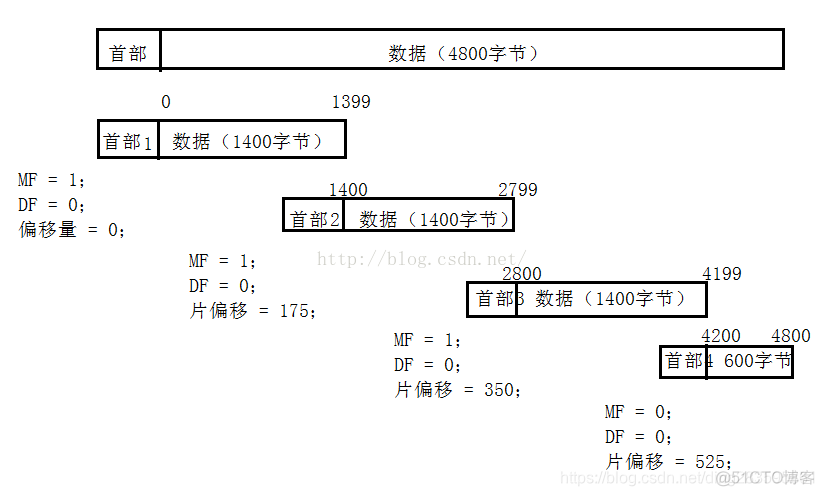 memo在字段_ip报头_03