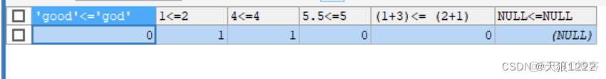 mysql 比较结果_运算符_06