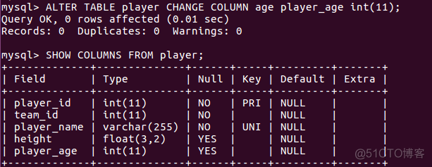 mysql导出全库ddl_SQL_13