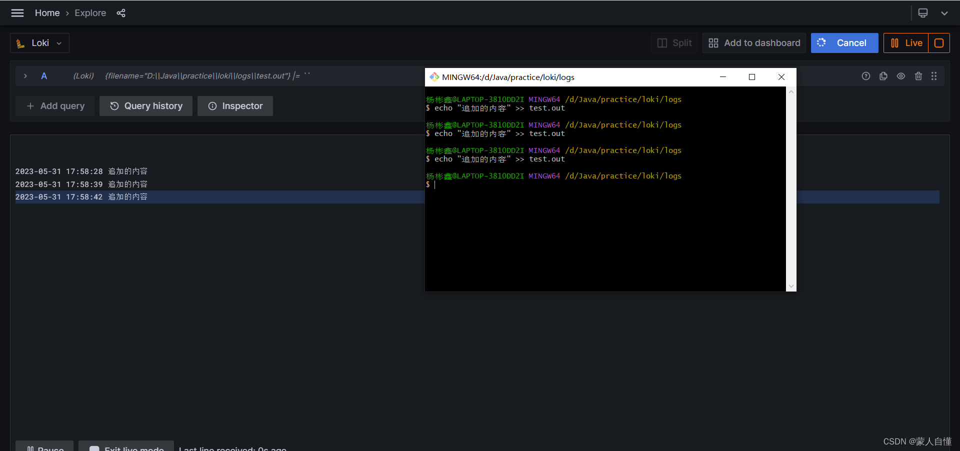 grafana loki 配置参数_elk_11