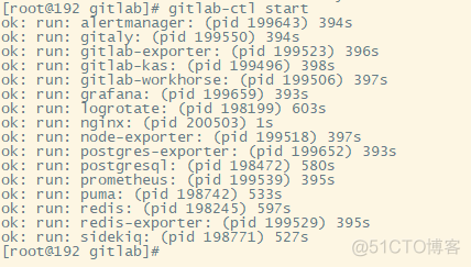 gitlab 不改配置文件能实现第三方登录吗_子域名_06