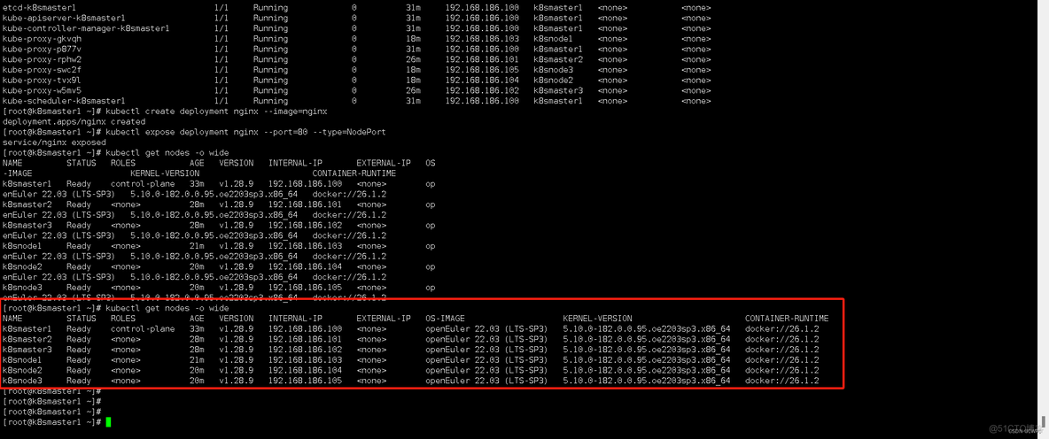 kubernetes部署多主多从_自动化_08