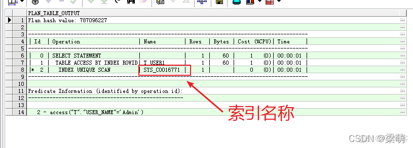 gp数据库 执行计划怎么样显示才是走了索引_数据库_04