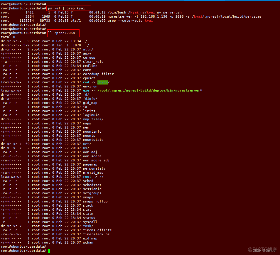 Process start 进程号 java_运维_03