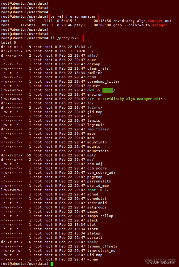 Process start 进程号 java_运维_04