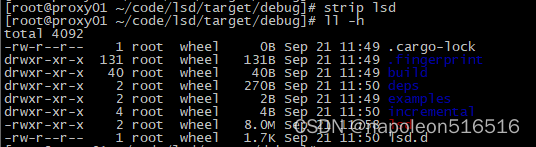 rustdesk 本地编译安装_Rust_05