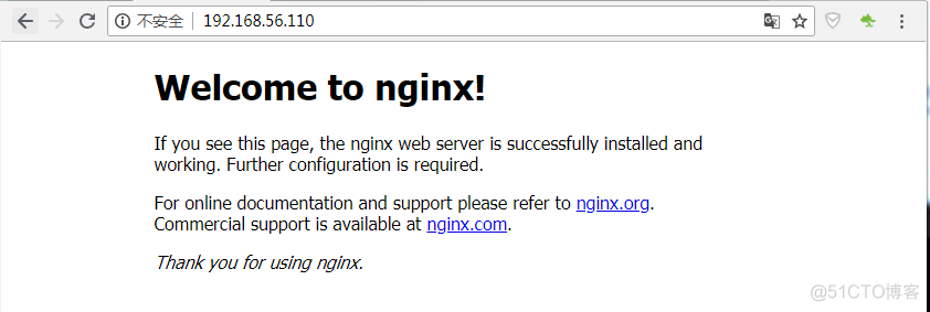 两台服务器作redis集群_nginx_07