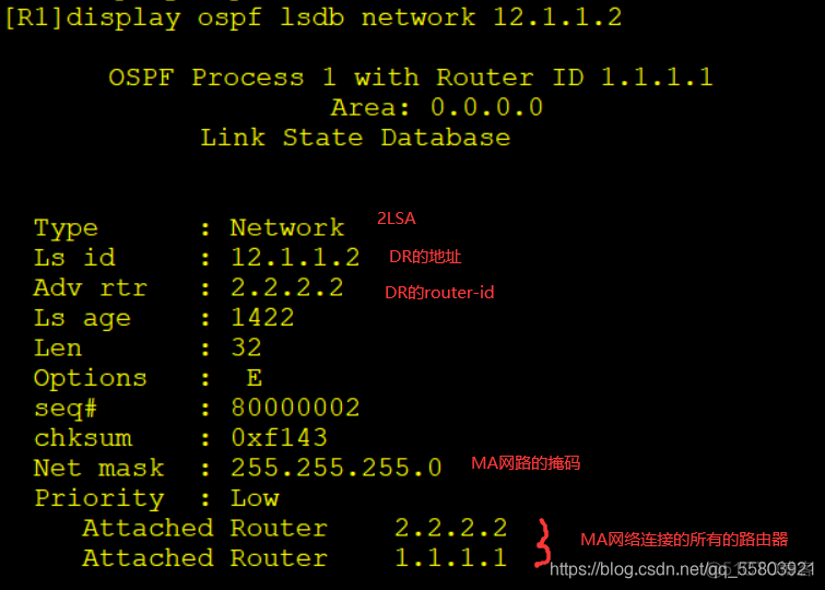 ospf路由引入ensp_ip地址_02