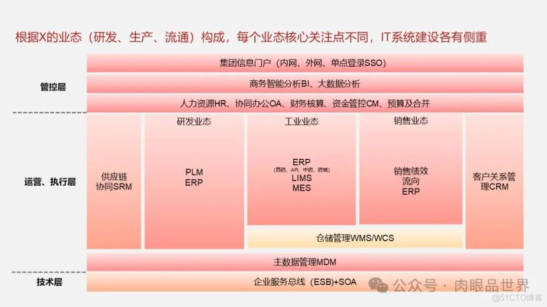 大型集团公司IT信息化顶层规划报告（121页 PPT）(附下载)_解决方案_10