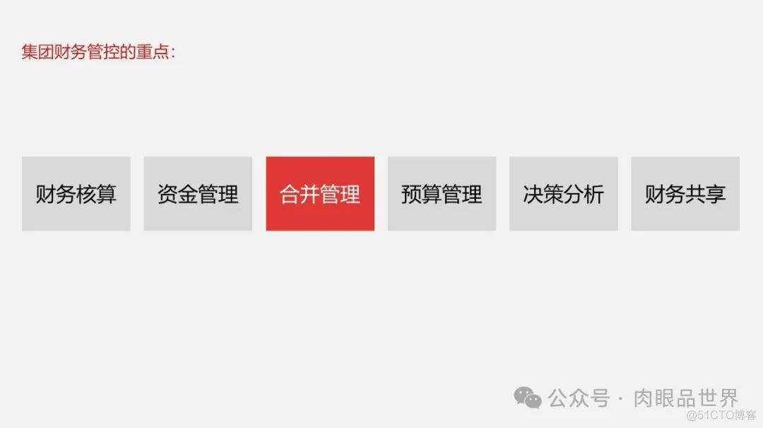 大型集团公司IT信息化顶层规划报告（121页 PPT）(附下载)_解决方案_39