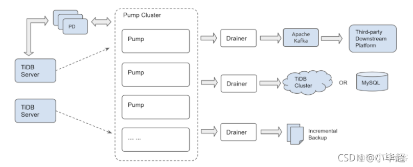 tidb 对应mysql conf文件_TIDB