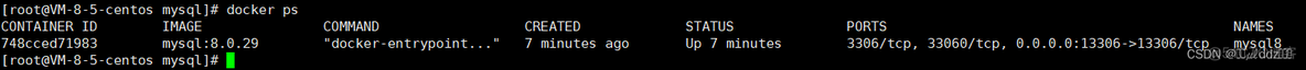 CentOS7 安装 MySQL8 、Docker 安装 MySQL8_centos_05