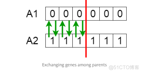 java遗传算法实现智能组卷_遗传算法_04