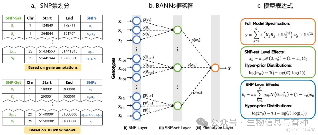 JASB | 利用生物注释神经网络提高奶牛基因组预测准确性_数据_02