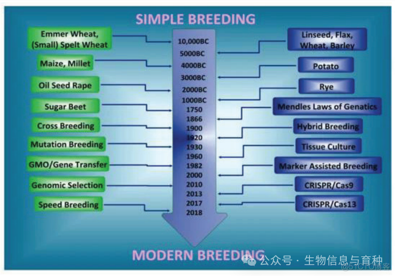 何为快速育种（Speed Breeding）？_生物信息_07