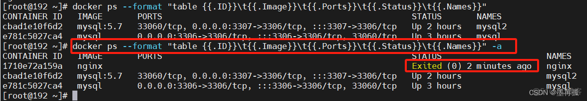 stable diffusion docker 模型下载加速_Docker_18