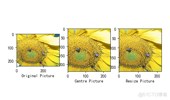 花贲识别tensorflow_数组_03