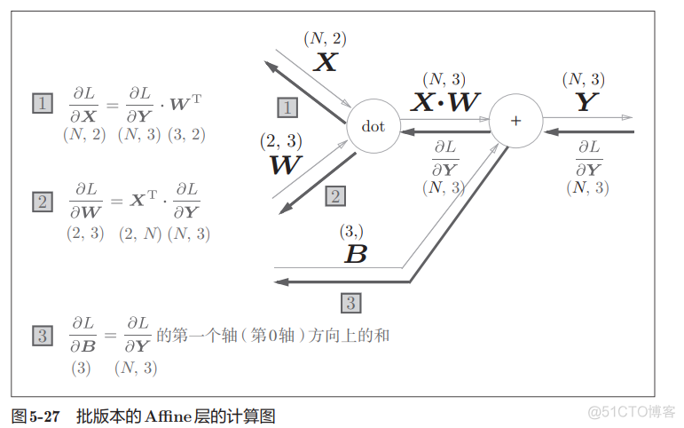 反向传播后测试正确率不变_反向传播_16