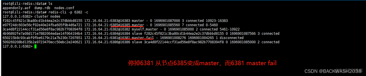 docker java服务如何指定mysql容器的ip_redis_14