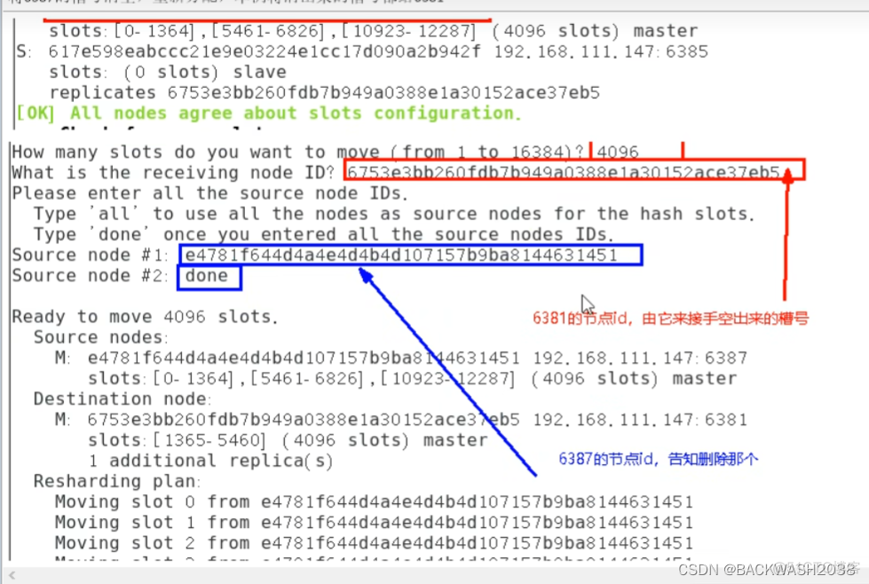 docker java服务如何指定mysql容器的ip_mysql_25