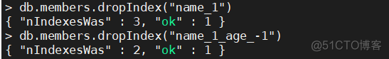 mongo新增索引指定索引名字_中间件_32