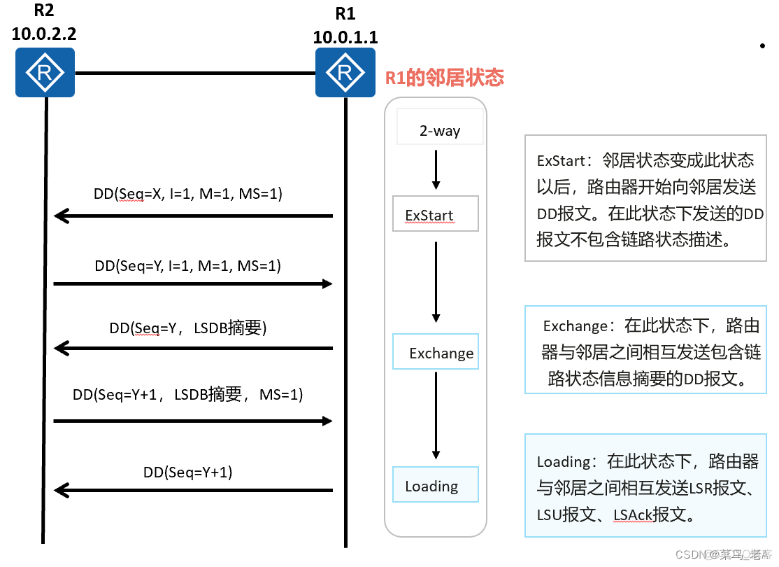 ospf中dd报文作用_序列号_03