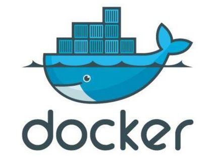 docker在运行命令没反应_docker_03