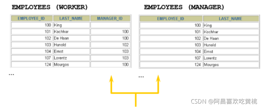 MYSQL多列设置排名值_sql_07