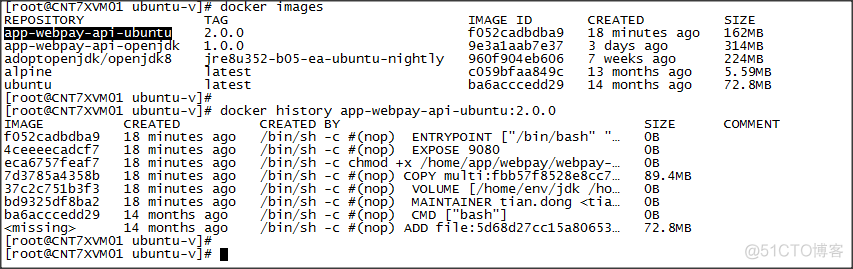 dockers部署Java项目 要登录_docker_02