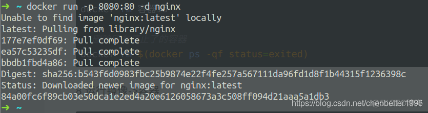 docker不同容器可以挂载到同一个目录吗_nginx_04