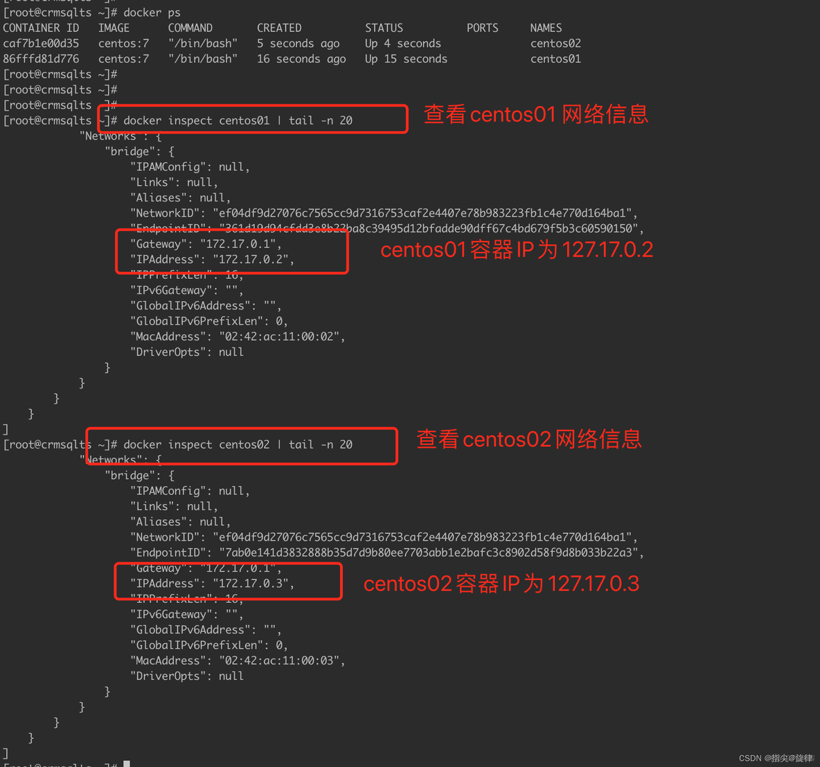 docker run 后面跟目录_IP_06