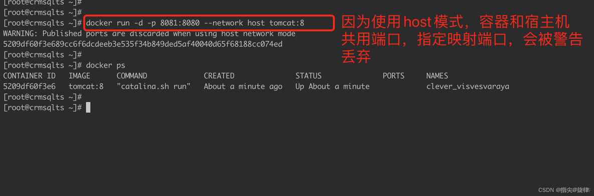 docker run 后面跟目录_IP_10