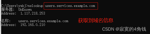 k8s haproxy 域名 A 记录_docker_16