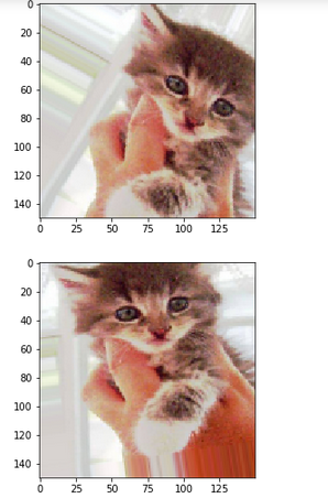 猫狗马识别tensorflow_猫狗马识别tensorflow_12