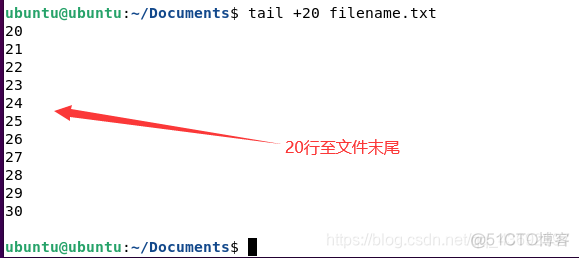 树莓派 desktop文件 启动两个_字符串_15