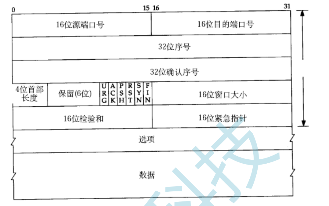 android tcp 判断 是否_tcp/ip