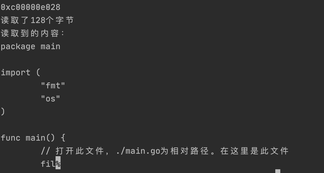 golang windows打包centos执行文件_异常处理_02