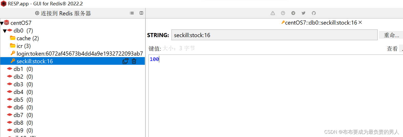 redisdeskmanager zip 下载_java_05