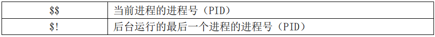 echo执行shell_bash_18